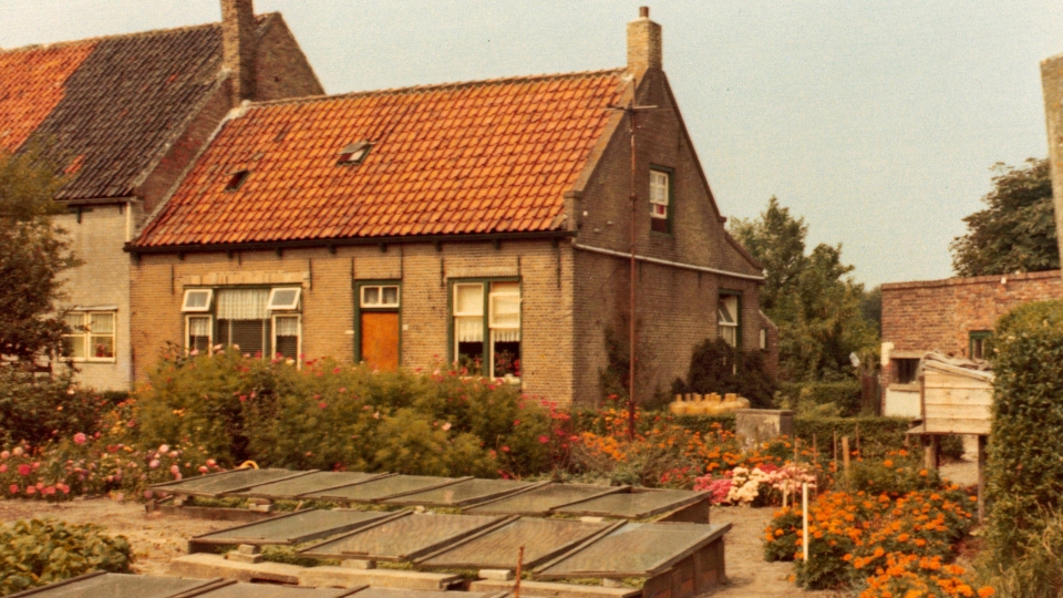 Historische foto van de boerderij op Camping Kotestee