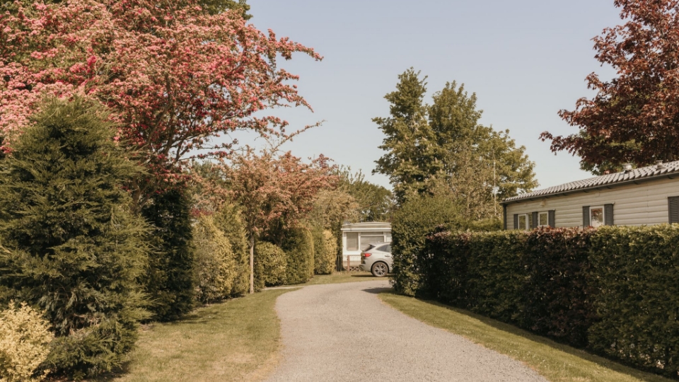 Pad langs stacaravans op camping Kotestee in Ouddorp.