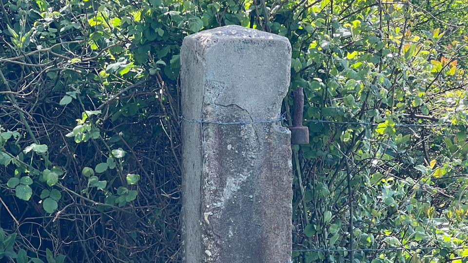 Historische paal van oud duinhek bij de Westduinen in Ouddorp