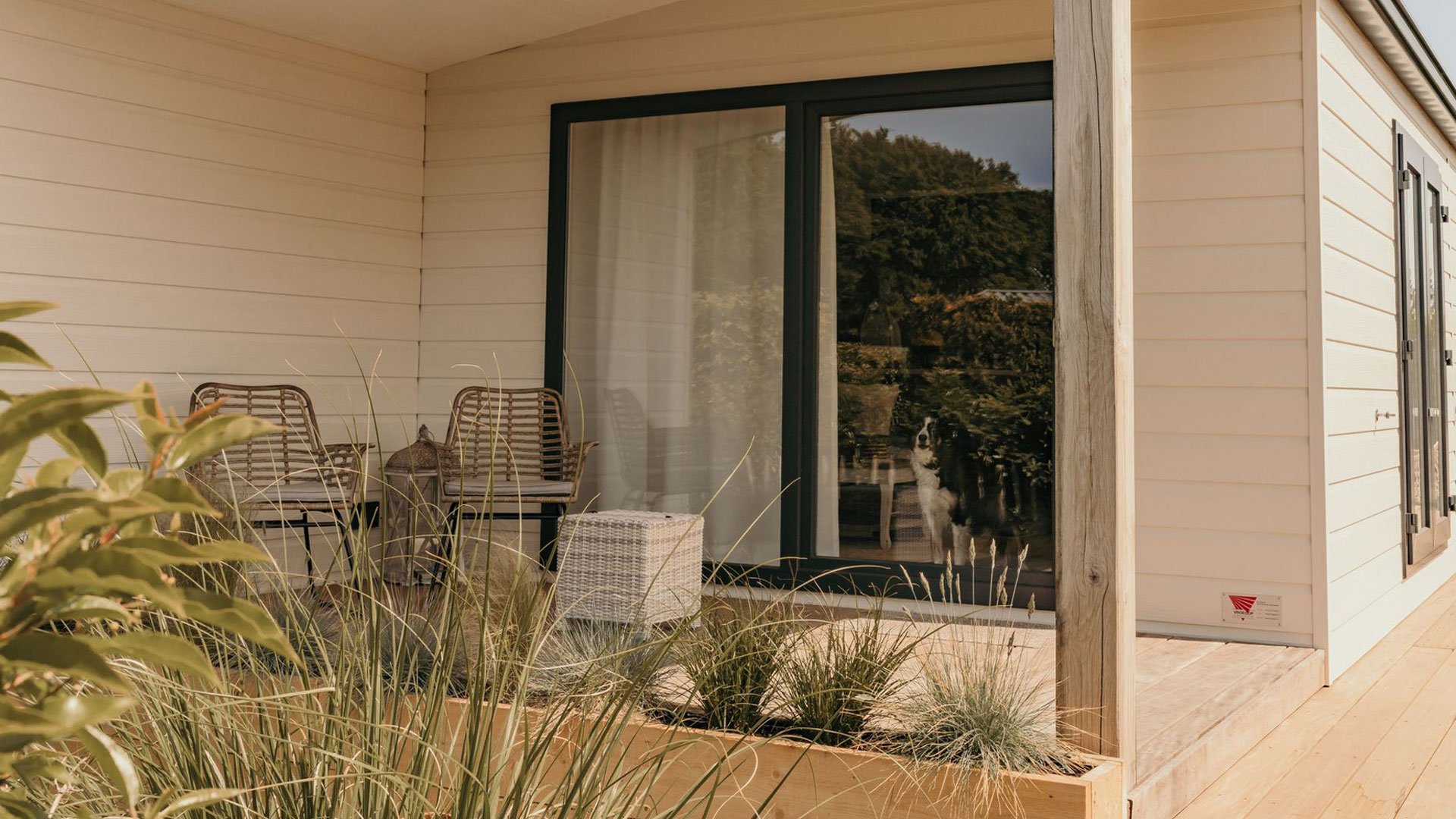Terras bij chalet op camping Kotestee in Ouddorp met hond binnen