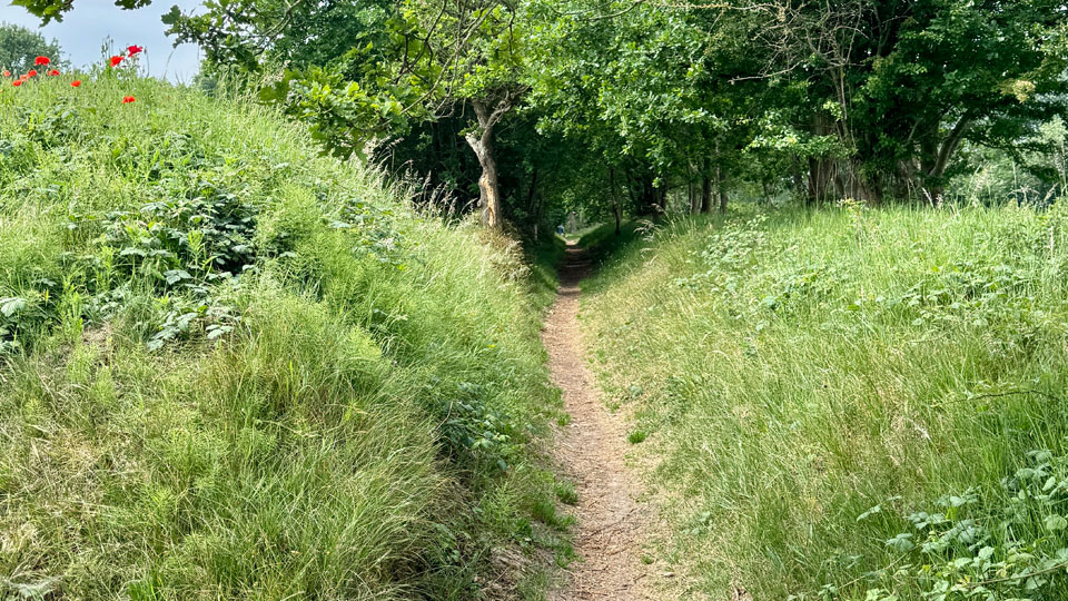 Het Kerkenpad Mannenpad bij Ouddorp