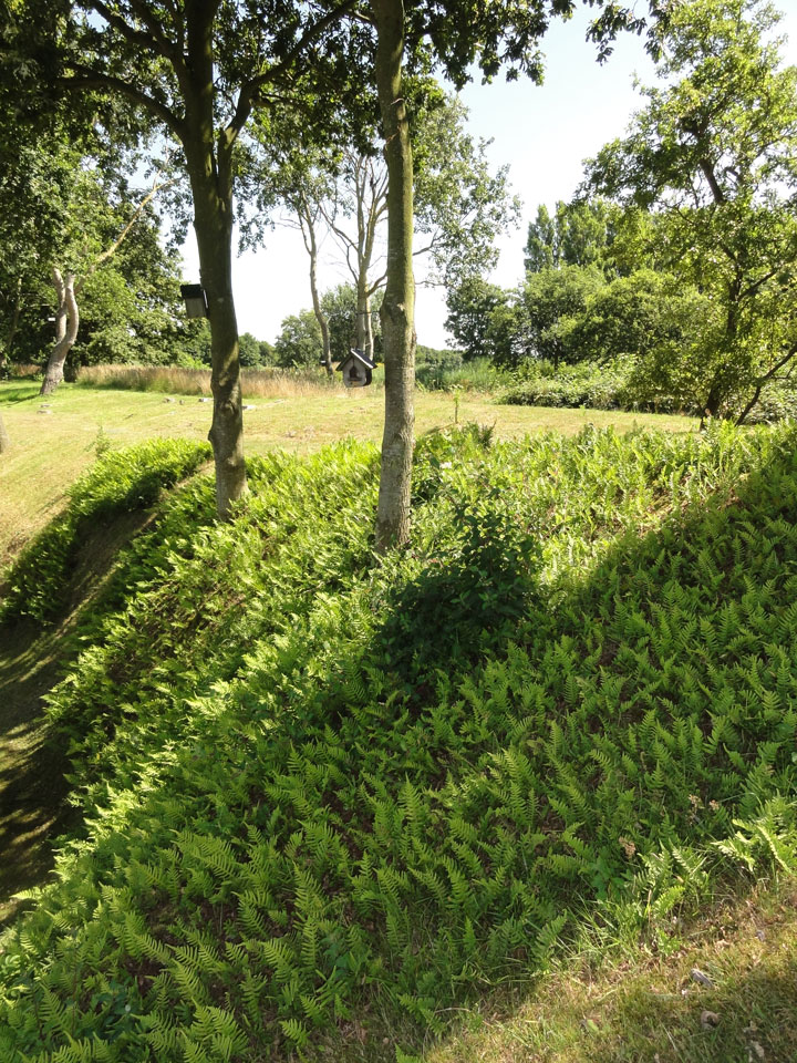 Zandwal met bomen op camping Kotestee in Ouddorp